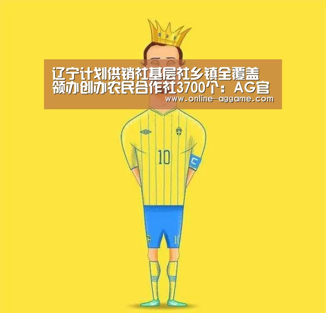 辽宁计划供销社基层社乡镇全覆盖 领办创办农民合作社3700个:AG官方网站(图1) ag直营平台