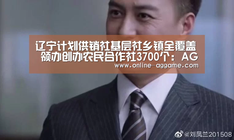 辽宁计划供销社基层社乡镇全覆盖 领办创办农民合作社3700个:AG官方网站(图2) 辽宁计划供销社基层社乡镇全覆盖 领办创办农民合作社3700个:AG官方网站(图2)