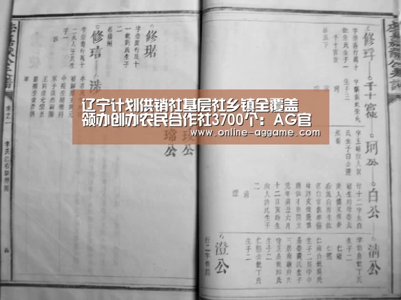 辽宁计划供销社基层社乡镇全覆盖 领办创办农民合作社3700个:AG官方网站(图3) 辽宁计划供销社基层社乡镇全覆盖 领办创办农民合作社3700个:AG官方网站(图3)